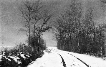 Verschneiter Landweg in der Gütersloher Heide (bei Sundern?), undatiert, um 1914?