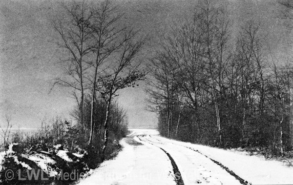 03_3981 Aus privaten Bildsammlungen: Slg. Niemöller - Gütersloh zur Zeit des Ersten Weltkrieges