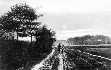 Feldweg in der Gütersloher Heide, undatiert, um 1914?