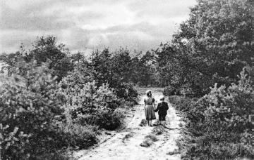 Sandweg in der Gütersloher Heide (bei Kattenstroth?), undatiert, um 1914?