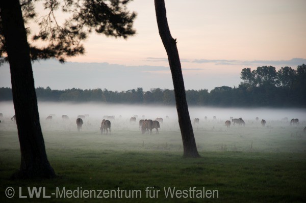 11_2978 Regionale 2016 - Westmünsterland: Fotodokumentation ausgewählter Förderprojekte 2012-2014