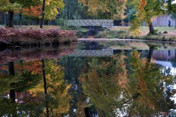 Der Herzteich mit Holzbrücke im Wildpark Dülmen - Landschaftspark mit Hirsch- und Heidschnuckenbesatz, gestaltet ab 1864 durch den englischen Landschaftsarchitekten Edward Milner im Auftrag des Herzogs von Croy