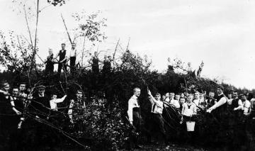 Herbstbrauch in Gütersloh - das Oktoberfeuer: Die örtliche Schülerschar beim Holzsammeln, 1913