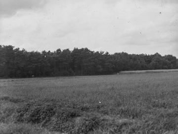 Das Dörgener Moor bei Haselünne, ca. 1930.