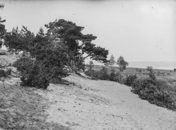 Am Weißen Berge am Steinhuder Meer, 1920.