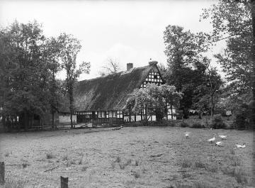 Bauernhof in Osterfeine, nahe dem Dümmersee. Juni 1933.