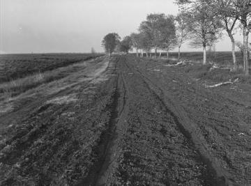 Das Bourtanger Moor bei Groß Hesepe, 1938.