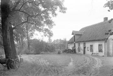 Alte Mühle nahe Kloster Marienfeld, Harsewinkel, undatiert.