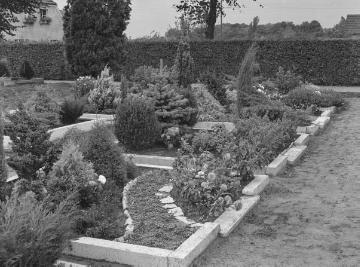 Friedhof in Metelen, Sep. 1953.