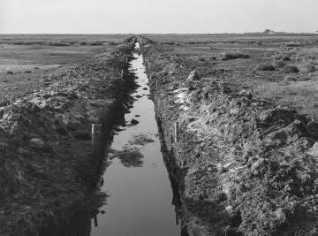 Entwässerungsgraben im Groß Heseper Moor, 1938.