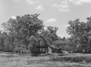 Bauernhof in Twist-Hesepertwist am Rande des Tals der Grenzaa, umgeben von eigenen Baumanpflanzungen zur Selbstversorgung in der baumarmen Landschaft des Bourtanger Moores. Mai 1934.