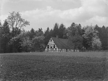 Bauernhof bei Haste, Mai 1939.