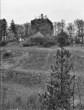 Burgruine auf dem Limberg bei Börninghausen, Mai 1954.
