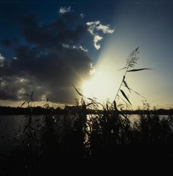 Sonnenuntergang am Torfmoorsee bei Hörstel-Bevergern, 1999