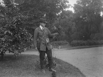 Apotheker Rudolf Kukk mit seinem Falken, 1924 - ohne Ort. Fotodokumentation des Ornithologen Dr. Hermann Reichling zum Jagdeinsatz von Greifvögeln.