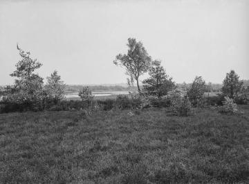 Das Große Heilige Meer bei Hopsten. Im Vordergrund Heide, im Hintergrund der Teutoburger Wald, 1927.