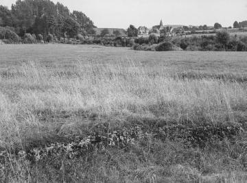 Tuffbank im Tal der Linnenbeeke bei Vlotho, 1936