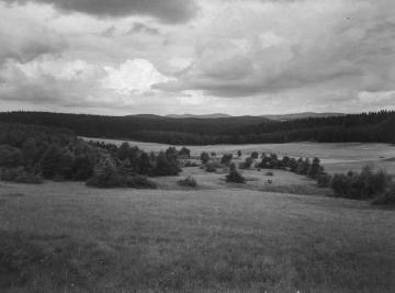Naturschutzgebiet "In der Strei" im Voßmecketal bei Silbach, 1953.