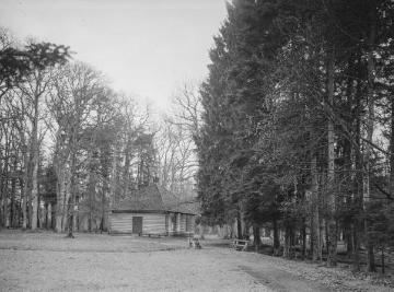 Jagdhütte an der Hohlhecke im Hasbruch, Eichen-Hainbuchenwald und ehemaliger Hudewald bei Ganderkesee, Apr. 1927.