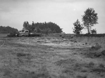 Angeschnittene Sanddüne in der Hohen Heide bei Gütersloh, 1959.