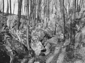 Das Felsenmeer bei Hemer, 1931.