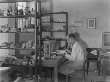 Doktorandenkeller im Zoologischen Institut der Universität Münster, 1952 (Foto: Helmut Reichling).