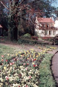 Botanischer Garten, Schlosspark, 1960er Jahre: Beetpartie des 1803-1814 angelegten Gartens