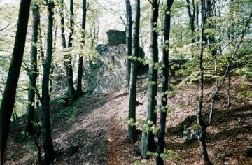 Die Ruine der Falkenburg im Teutoburger Wald bei Berlebeck