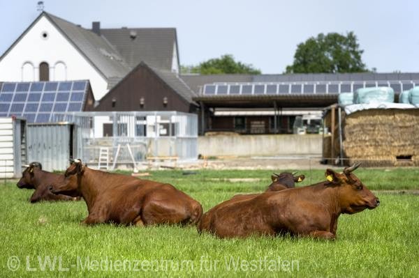 11_3491 Landwirtschaft in Westfalen - Ökologische Tierzucht auf Hof Büning, Laer