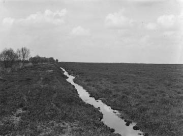 Das Bourtanger Moor bei Versen, ca. 1925.