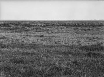 Das Dalumer Moor, im Hintergrund neue Siedlungen, 1938.
