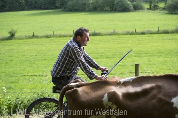 10_13168 Landwirtschaft in Westfalen - Milchviehzucht auf Hof Bieke, Lennestadt