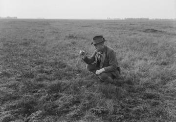 Dr. Hermann Reichling, ornithologische Feldstudien: Am Gelege eines Goldregenpfeifers (Charadrius apricarius oreophilus) - Georgsdorfer Hochmoor (Bourtanger Moor), Mai 1933.