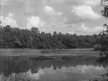 Der Huronensee nahe der Gelmerheide bei Münster, Juli 1944.