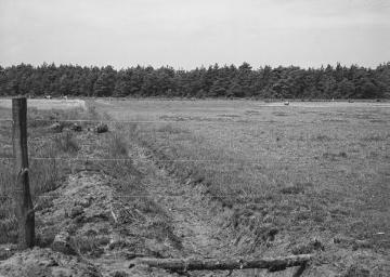 Kultivierte Niederung am Riesenbecker Damm bei Saerbeck, 1935.