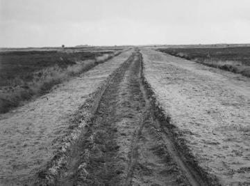 Das Bourtanger Moor bei Hoogstede, 1934.