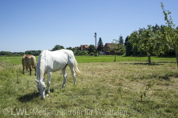 10_13729 Dörfer mit Zukunft: Petershagen-Windheim im Mindener Land