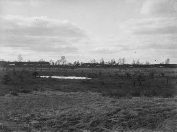 Das Geester Feld im Bourtanger Moor, ca. 1930.