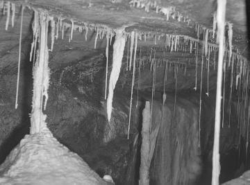 Tropfsteinhöhle im Kalksteinbruch Hohe Lieth bei Warstein. 20 m breiter Spalt, März 1950.