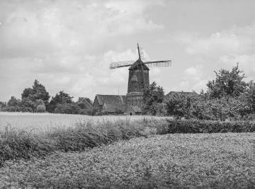 Windmühle in Werth, 1936.