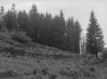 Die Trödelsteine, Felsformation aus Basalt bei Burbach, 1926.