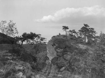 Felsenpartie "Dreikaiserstuhl" im Naturschutzgebiet Dörenther Klippen, einer 4 Kilometer langen Sandsteinformation im Teutoburger Wald zwischen Ibbenbüren und Tecklenburg