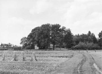 Bauernhof in Hekese bei Bippen, Aug. 1928.