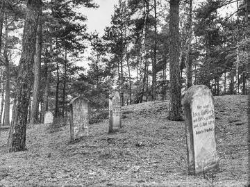 Jüdischer Friedhof auf einem Hügelgrab bei Westerkappeln, Feb. 1935.