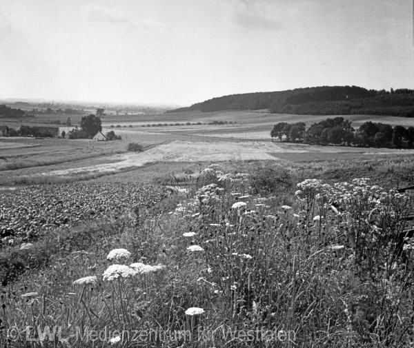 10_6892 Westfälische Landschaften vor dem  Zweiten Weltkrieg