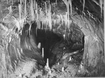 Tropfsteinhöhle im Kalksteinbruch Hohe Lieth bei Warstein, Nov. 1948.