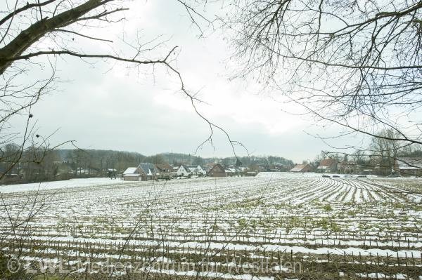 10_12259 Dörfer mit Zukunft: Brochterbeck im Tecklenburger Land