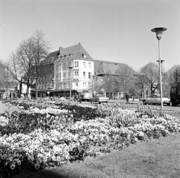 Blumenrabatten auf dem Servatiiplatz - Blick zur Promenade/Salzstraße