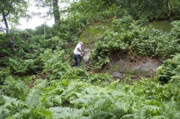 Menschen in Brochterbeck: Naturschützer und Landschaftsführer Hermann Lammers unterwegs im Wald bei Brochterbeck - hier bei der Präparation eines Felsstückes für die Errichtung eines Holzkreuzes, Juli 2015.
