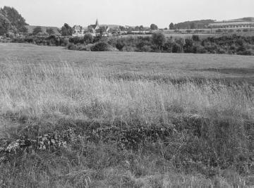 Tuffbank im Tal der Linnenbeeke bei Vlotho, 1936